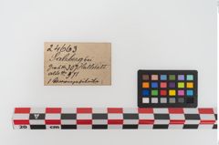 Etikett zu Bronzesitula (NHMW-PRAE-024663)